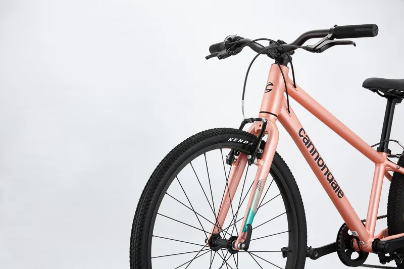 cannondale kids 24